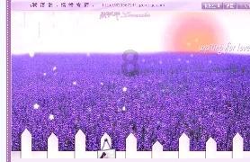 逃离棕榈树森林